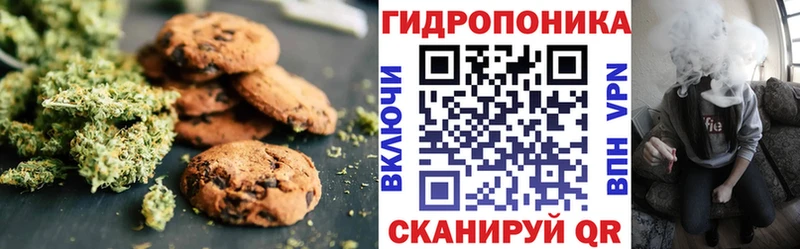 OMG   Димитровград  Canna-Cookies марихуана  хочу наркоту 