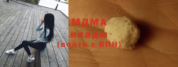 индика Козельск