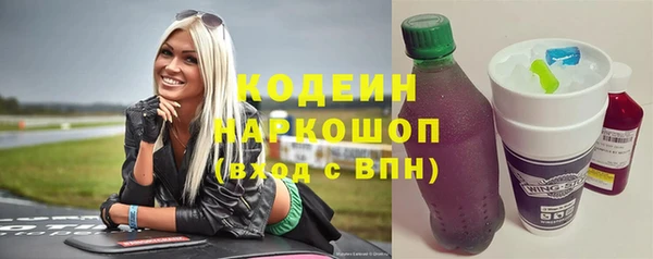 прущий лед Алзамай