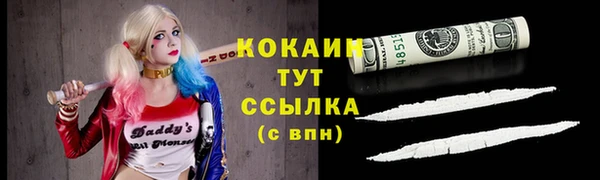 тгк Абаза