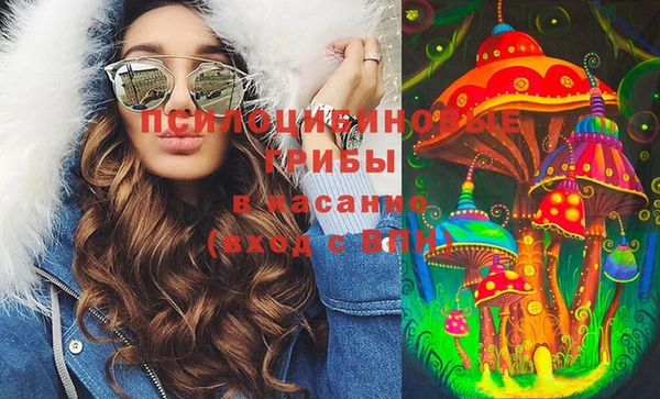 прущий лед Алзамай