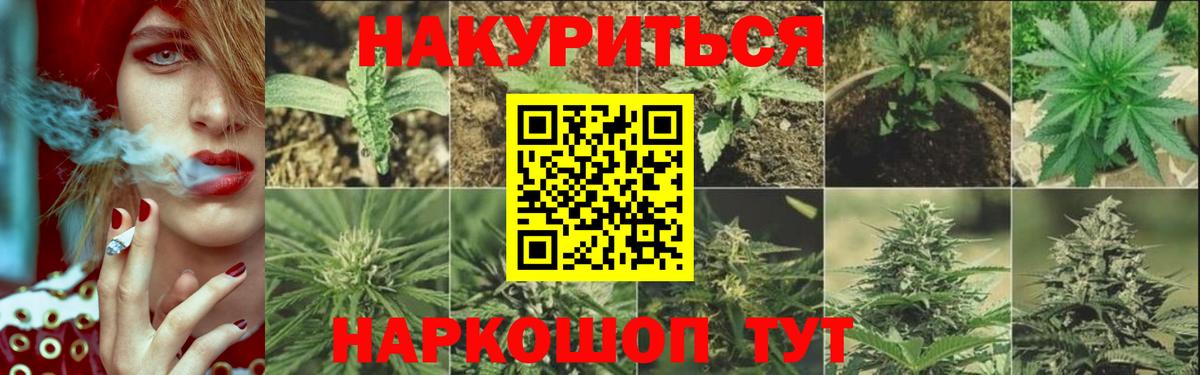 Бошки Шишки Bruce Banner Димитровград